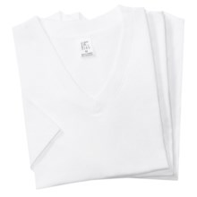 2(x)ist Jersey V-Neck T-Shirts - 3 Pack (For Men) in White - Closeouts