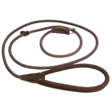 ABO Gear Aussie Slip Dog Leash - Check Cord Lead  in Brown - Closeouts