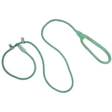 ABO Gear Aussie Slip Dog Leash - Check Cord Lead  in Ice Green - Closeouts