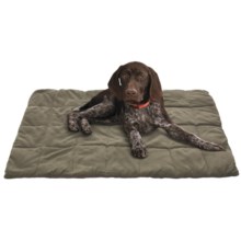 ABO Gear Pet PacSac Dog Bed in Taupe/Grey - Closeouts