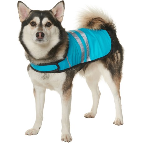 ZIPPYPAWS Adventure Cooling Safety Vest - Medium - BLUE ( )