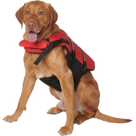 ZIPPYPAWS Adventure Dog Life Jacket - Large - MULTI ( )