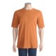 Agave Denim Spruce T-Shirt - Crew, Short Sleeve (For Men)