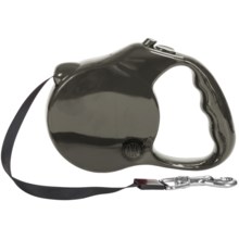 AKC Retractable Leash in Silver - Closeouts