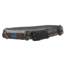 Alite Designs Kung Fu Dog Collar in Brown - Closeouts