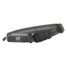 Alite Designs Kung Fu Dog Collar in Charcoal - Closeouts