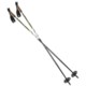 Alpina Woody Nordic Ski Poles - Pair