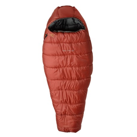 ALPS Mountaineering 20&degF Echo Lake Sleeping Bag Long, Synthetic, Mummy