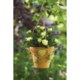 Ancient Graffiti Hanging Leaf Design Flower Pot Holder - Wire
