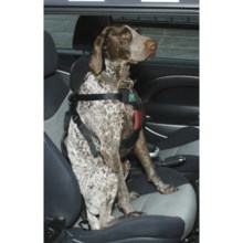 ASPCA Safety Travel Dog Harness - Large in Rosewine - Closeouts