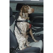 ASPCA Safety Travel Dog Harness - Medium in Rosewine - Closeouts