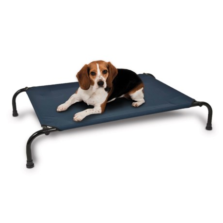 Aspen Pet Elevated Dog Bed - Medium, 35x25?