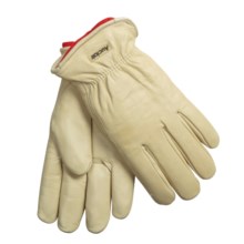 Auclair Cowhide Chore Gloves - Removable Pile Liner (For Men) in Cream - Closeouts