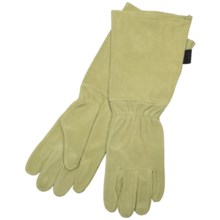 Auclair Rose Worker Gloves - Cowsplit Suede (For Women) in Fern - Closeouts