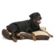 Aussie Naturals Perth Dog Bed - Large