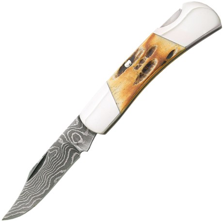 Bear and Son Cutlery 3 Stag Bone Pocket Knife Damascus Steel, Lockback