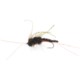Beech Crick Nymph Fly - Dozen