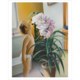 Beloved Flower Art Print by Ron Richardson - 16x20