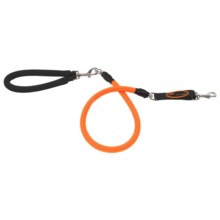 Bergan Low-Impact Dog Leash - 43” in Orange - Closeouts
