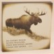 Big Sky Carvers Moose “Every Walk” Wall Art - 12x12”