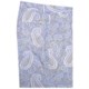 Bills Khakis Parker Bohemian Paisley Shorts (For Men)