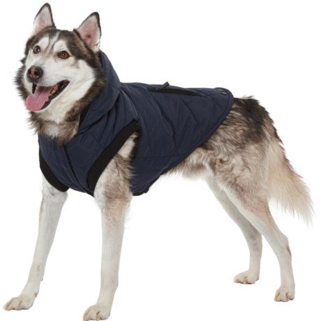 Pajar Birch Hooded Dog Jacket - Insulated - NAVY (L )