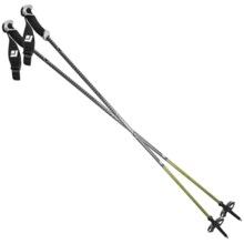 Black Diamond Equipment Fixed Length Carbon Alpine Ski Poles - 110-130cm, Pair in Carbon/Silver - Closeouts