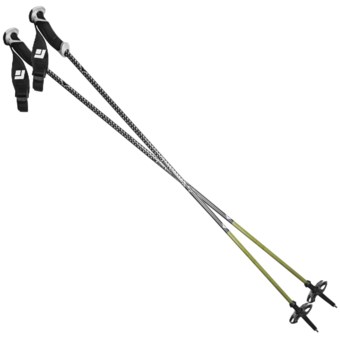 Black Diamond Equipment Fixed Length Carbon Alpine Ski Poles - 110-130cm, Pair in Carbon/Silver