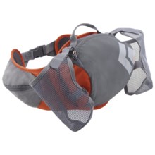 Black Diamond Equipment Fuse Lumbar Pack in Red Clay - Closeouts