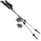 Black Diamond Equipment Syncline Trekking Poles - Pair in See Photo