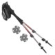 Black Diamond Equipment Trail Trekking Poles - Pair