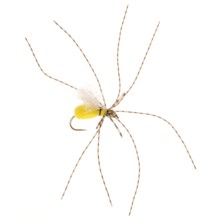 Black's Flies Super Spider Flies - Dozen in Yellow - Closeouts