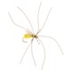 Black's Flies Super Spider Flies - Dozen