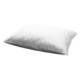 Blue Ridge Home Fashions Chamber Pillow - Down, Standard