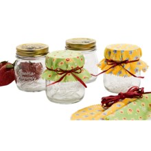 Bormioli Rocco Quattro Stagioni Canning Jar Set - 4-Piece, 8.5 fl.oz. in Clear - Closeouts