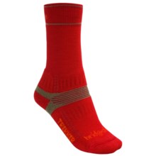 Bridgedale Hiking Socks - Wool (For Women) in Red - 2nds