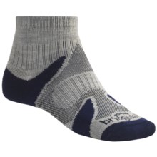 Bridgedale X-Hale Socks (For Men and Women) in Silver/Sapphire - 2nds