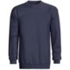 Champion Sweatshirt - Crew Neck, Long Sleeve (For Men and Women)
