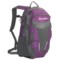 Columbia Sportswear Drifter Daypack in Gloxinia Purple