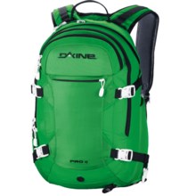 DaKine Pro II Snowsport Backpack - 26L in Green - Closeouts