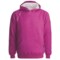 Dale of Norway Folgefonn Merino Fleece Pullover - Hoodie Sweatshirt (For Men and Women) in Fuschia Red