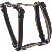 Dog Gone Smart Wear Dog Harness - 5/8” in Navy/Khaki - Closeouts