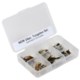 Dream Cast 2012 Tungsten Beadhead Nymph Flies - 24 Assortment