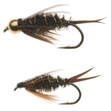 Dream Cast Prince Nymph Assorted Flies - 2-Dozen in See Photo - Closeouts