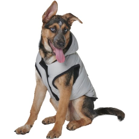 Pajar Duke Dog Jacket - Large-Extra Large - SILVER (XL )
