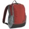 Eagle Creek Travel Bug Backpack in Red Clay/Gray