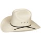 Eddy Bros. by Bailey Winner Cowboy Hat - 10X Woven Paper, Cattleman Crown (For Men and Women)