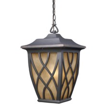 Elk Lighting Shelburne 1-Light Outdoor Hanging Lantern in Weathered Charcoal - Closeouts