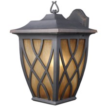 Elk Lighting Shelburne 1-Light Outdoor Sconce - Wall Mount, Small in Weathered Charcoal - Closeouts