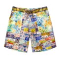 Robert Graham License Plate Board Shorts - Swim Trunks (For Men)
